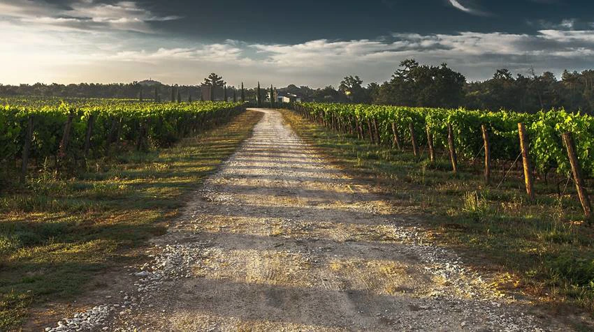Country Lane 428039 1280