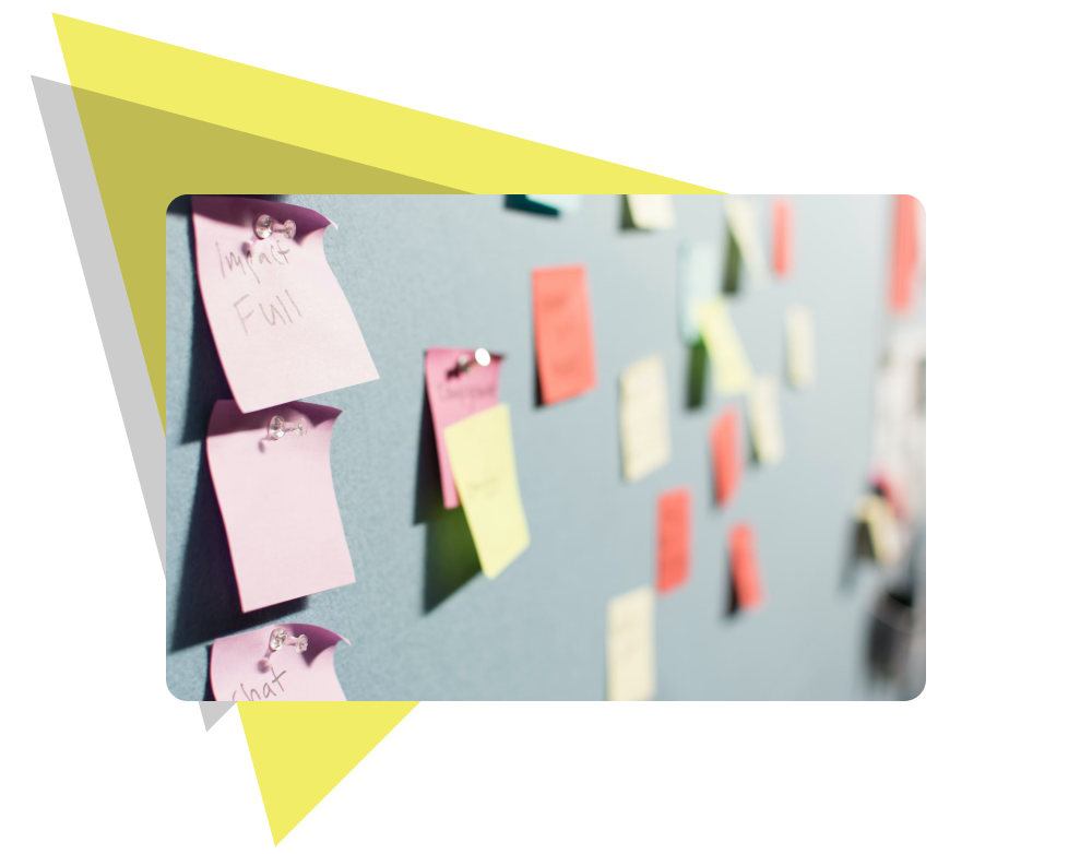 Our Umbraco support plans